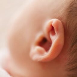 Child's ear